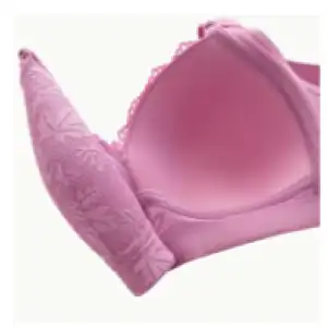 Sostenes Sin Aros de Encaje– Push-Up AJUSTADORES miniatura 8